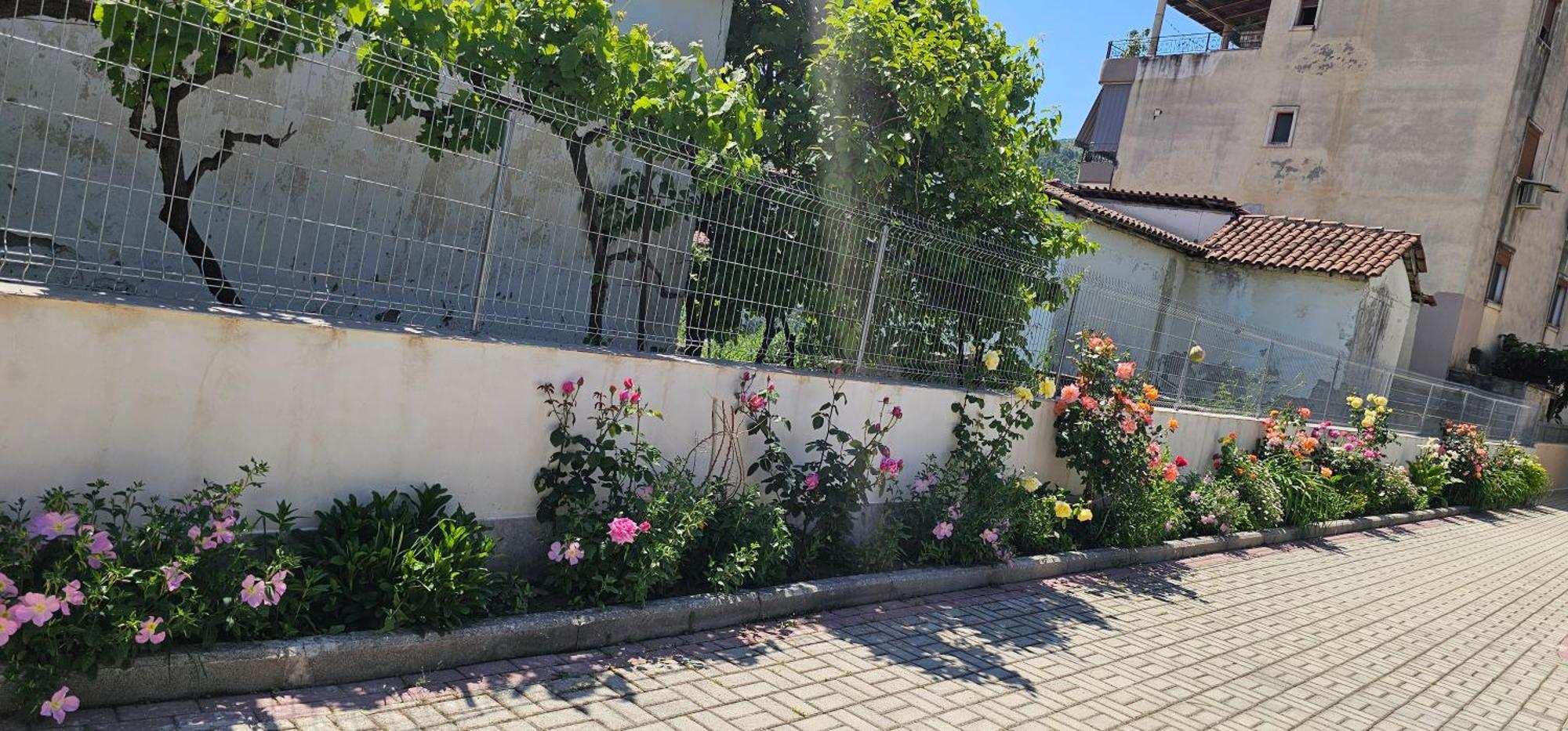 בראט Aliaj Guest House מראה חיצוני תמונה